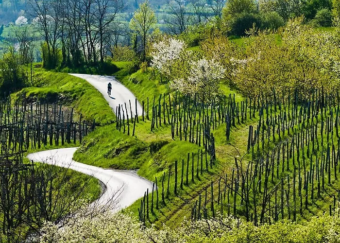 Frane House Feriehus *